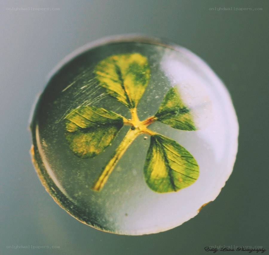 clover in a glass marble