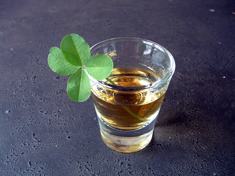 Clover in a shot glass