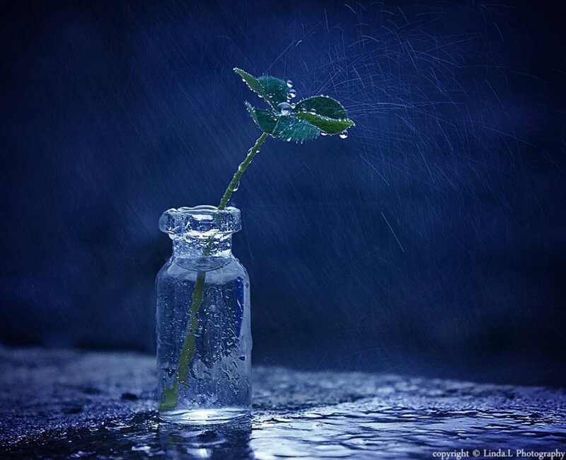 Clover in Glass Bottle