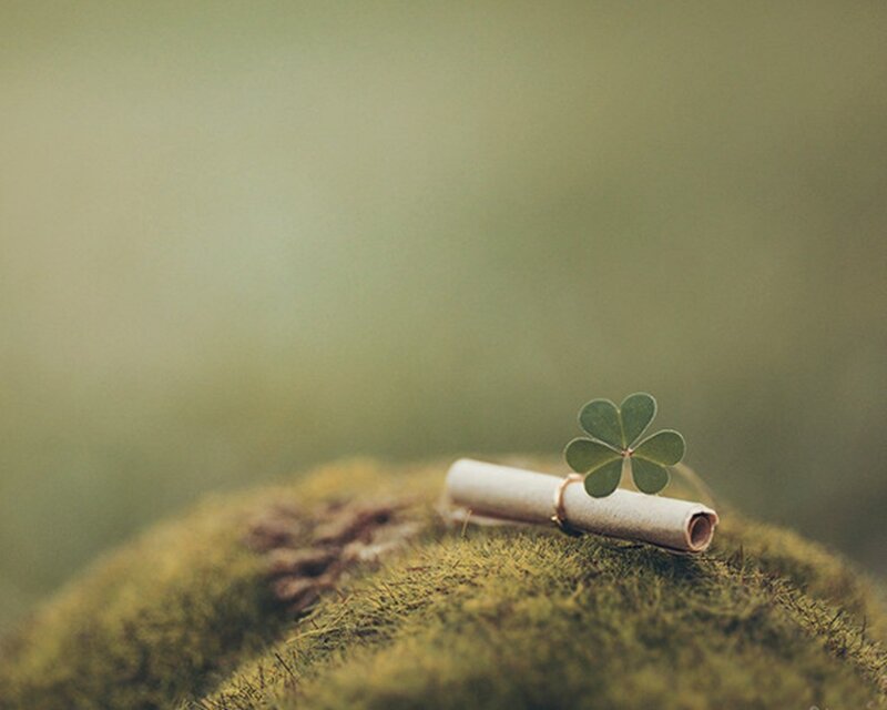 Clover on a scroll
