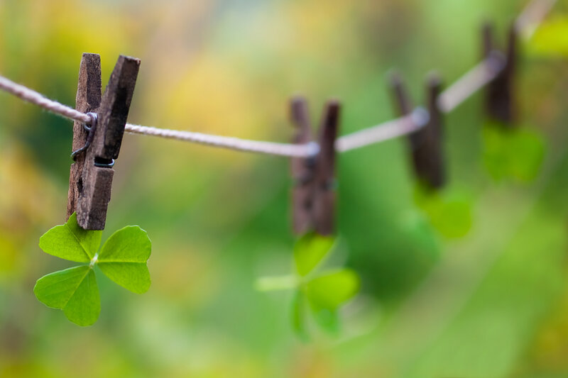 Clover on Clothespin