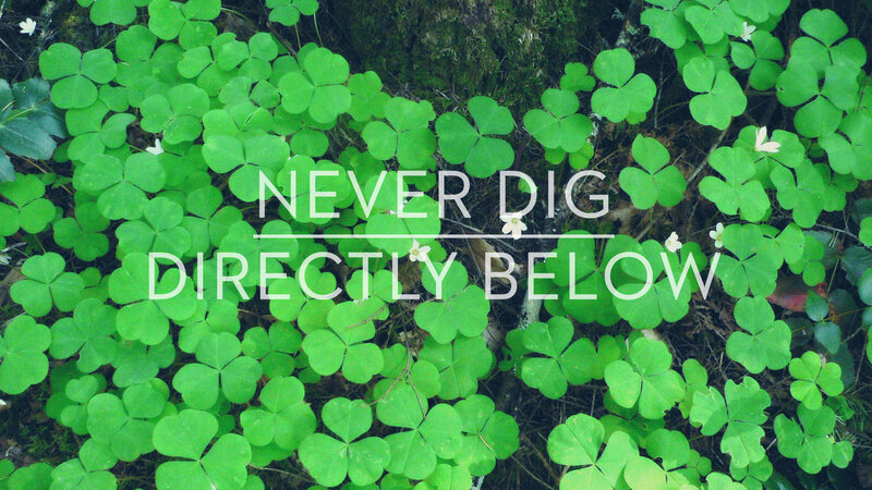Clover patch with warning text