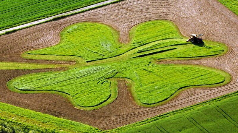 Clover-shaped crop field