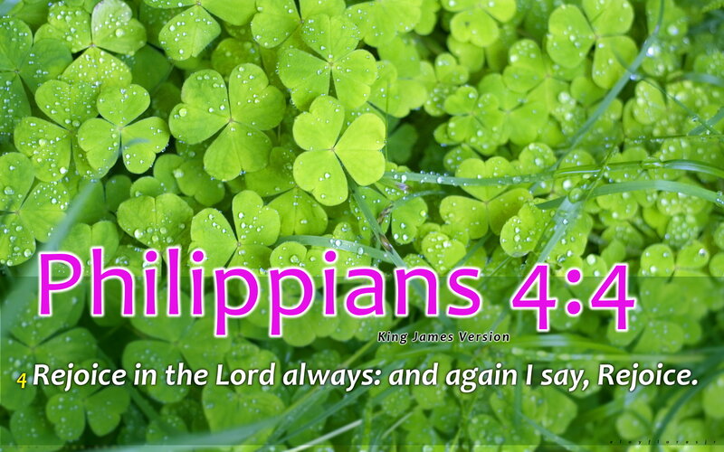 Clover with Water Droplets — Green, Serene
