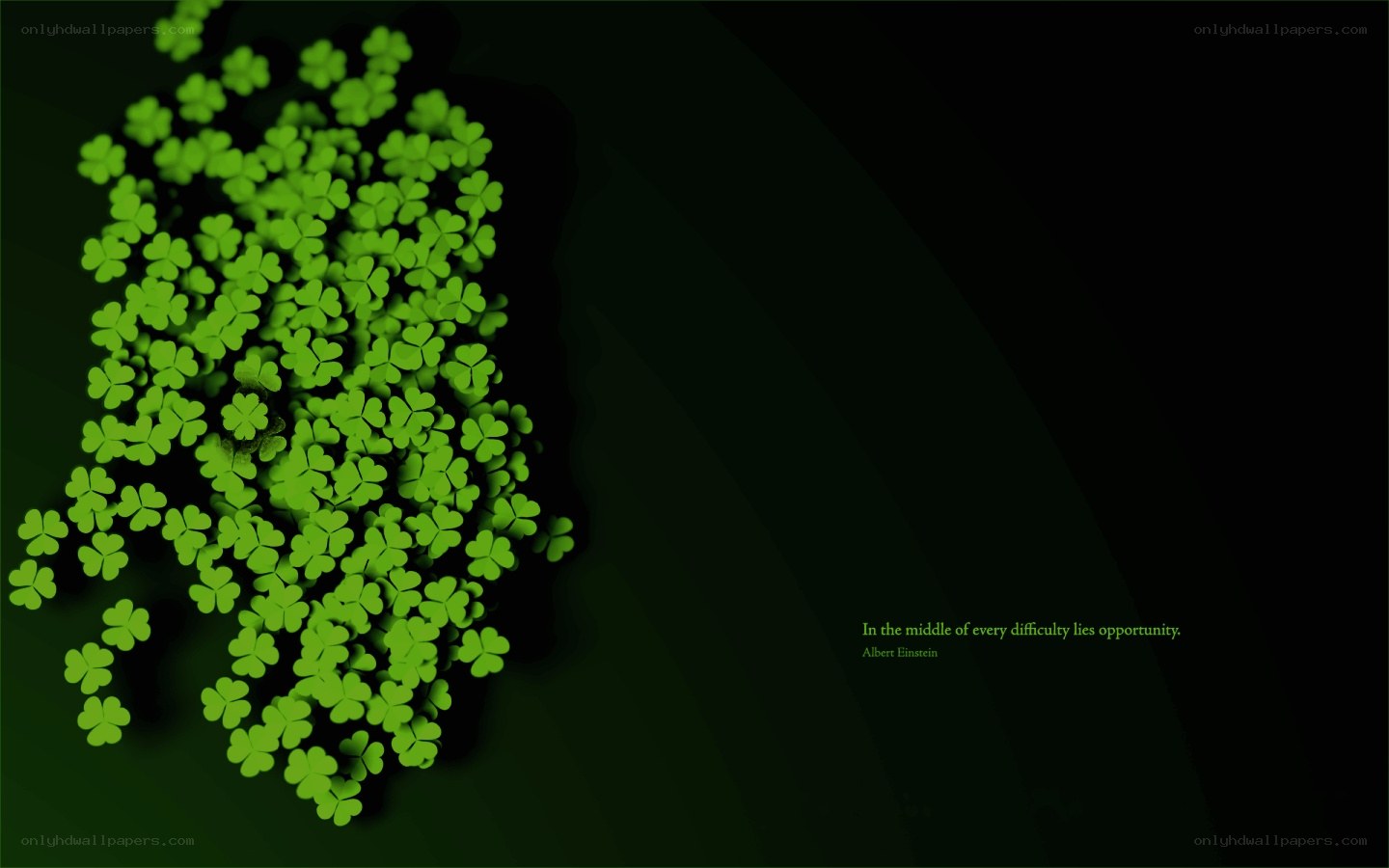 Clovers with quote