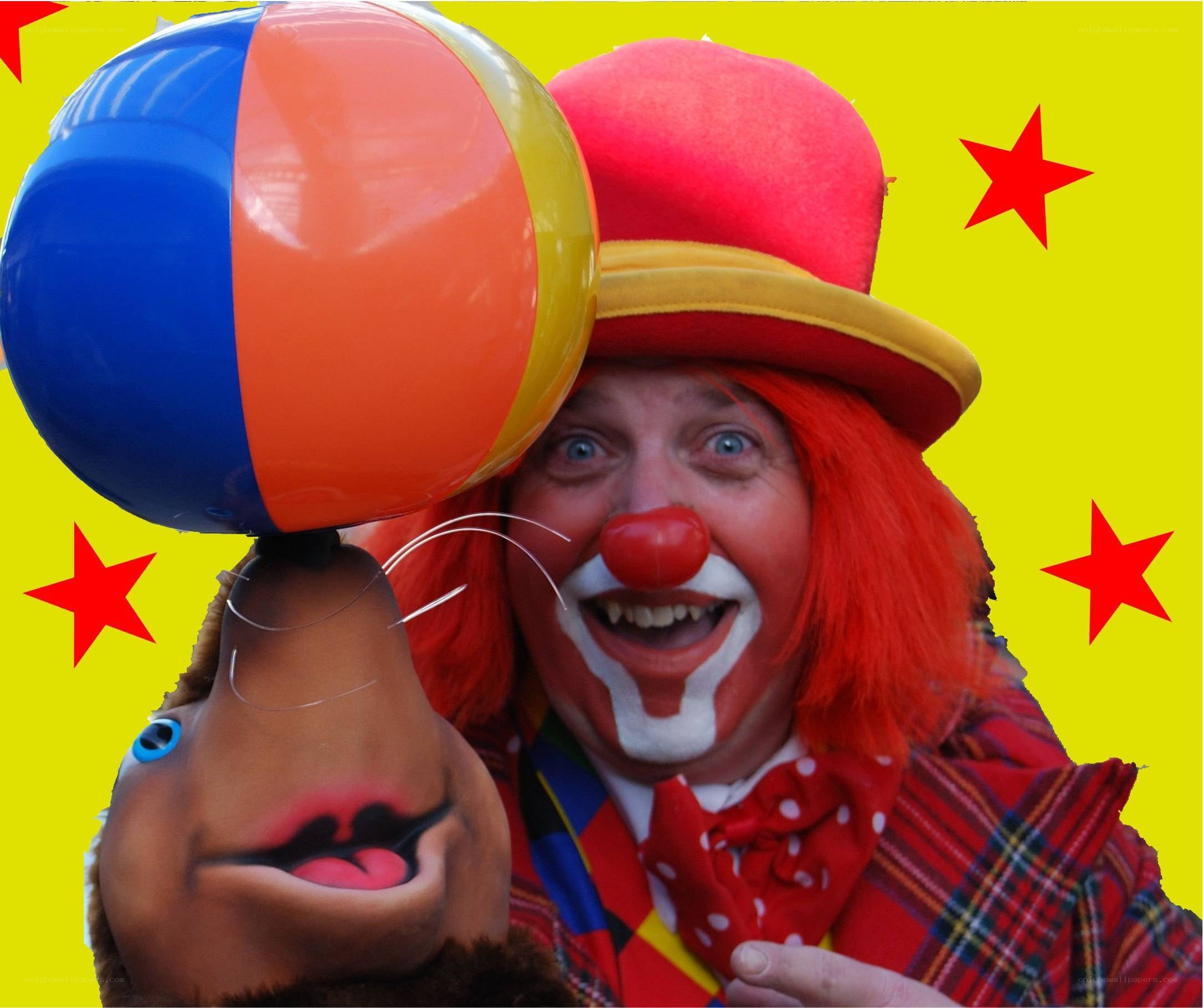 clown with beach ball and puppet