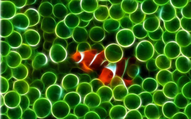 clownfish among green bubbles