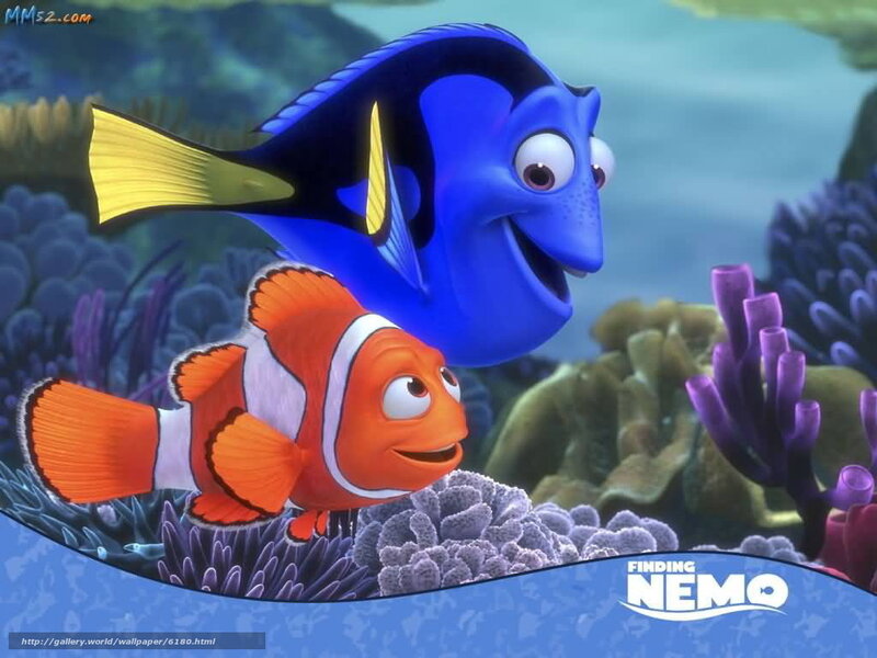 Clownfish and Blue Tang Fish — Playful