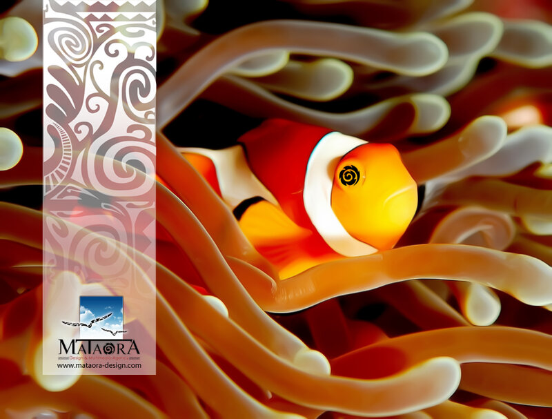 Clownfish in Anemone — Orange, Calm