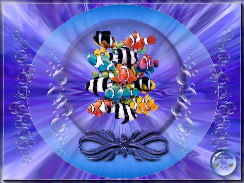 Clownfish in Aquarium — Blue