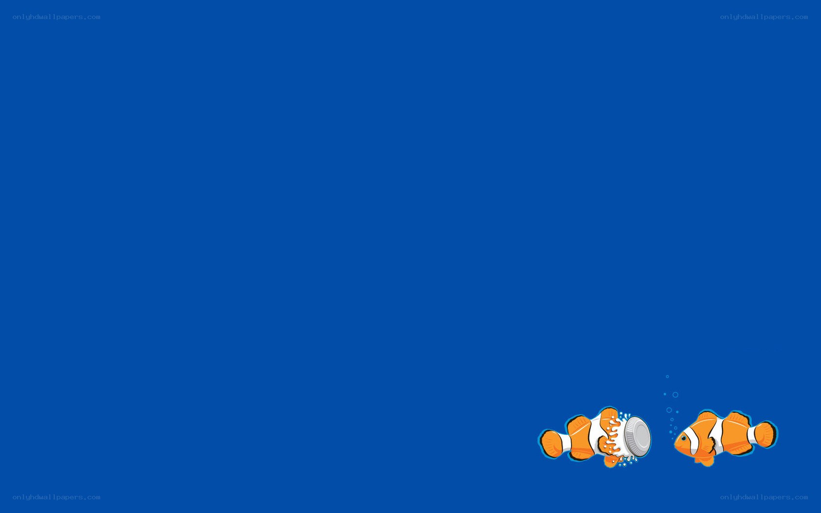 clownfish in blue water