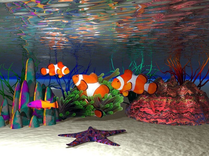 Clownfish in Coral Reef — Orange, Colorful