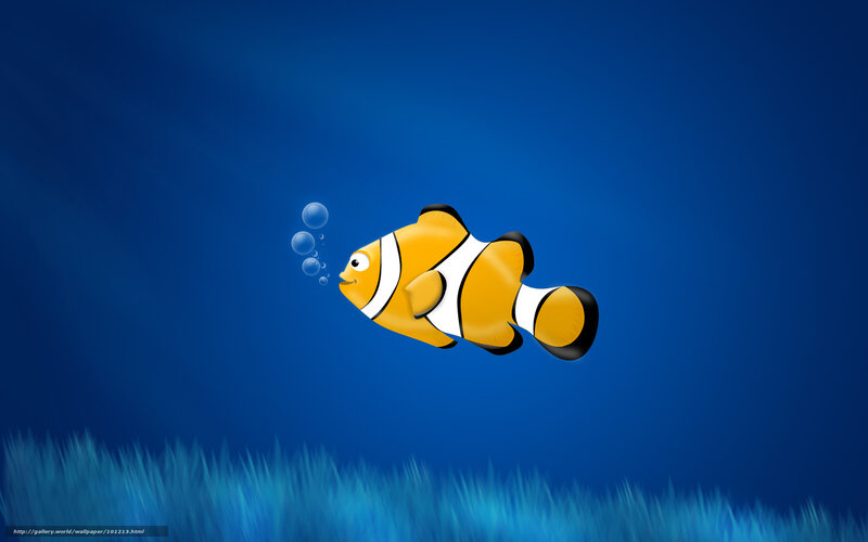 Clownfish Swimming — Blue
