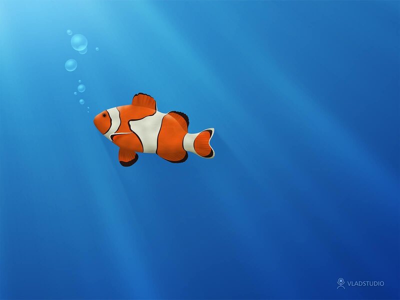 clownfish swimming in blue water
