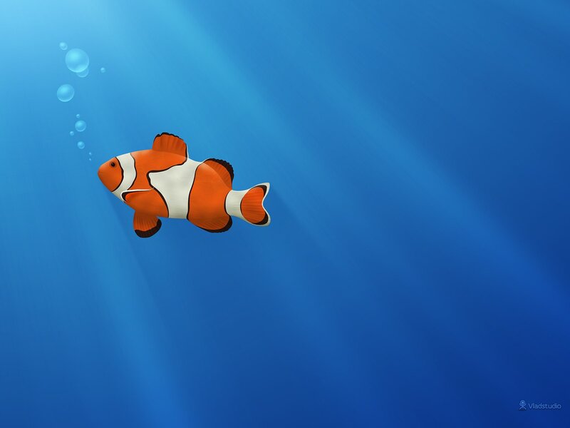 Clownfish Swimming Underwater — Blue