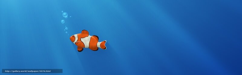 clownfish swimming underwater
