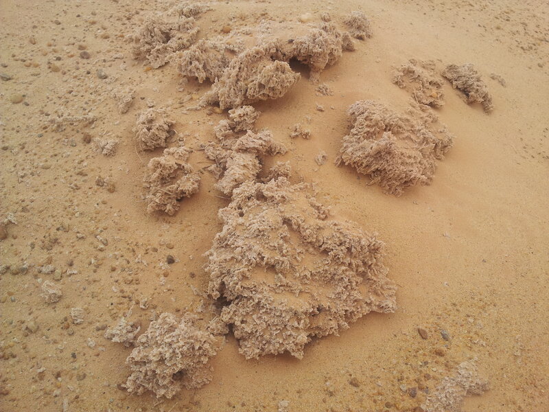 Clumped Sand Formations