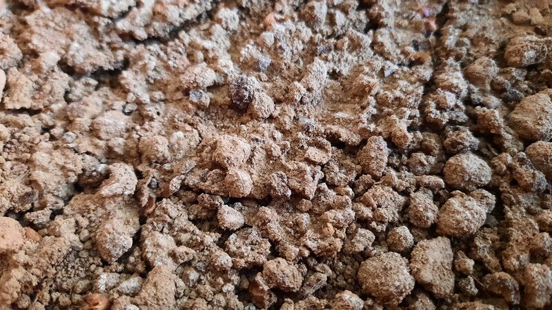 Clumpy Brown Soil