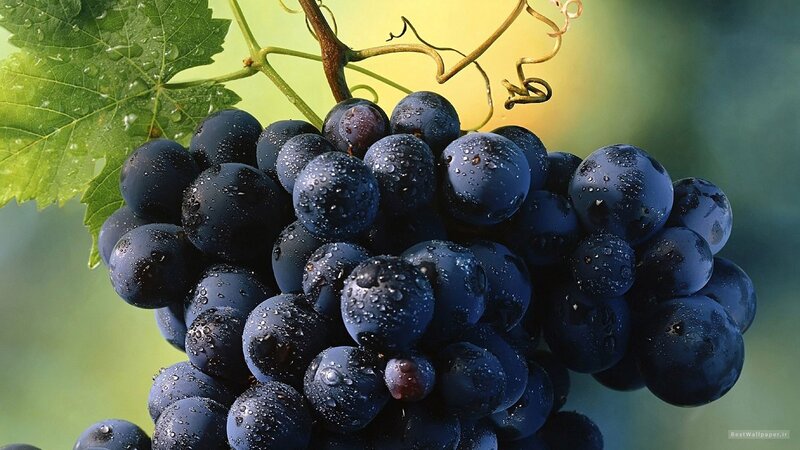 cluster of dark grapes