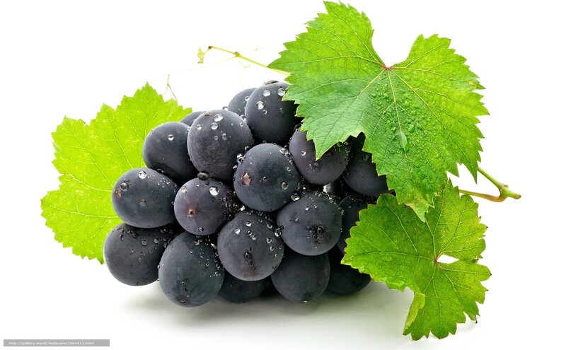 Cluster of Dark Grapes — Green