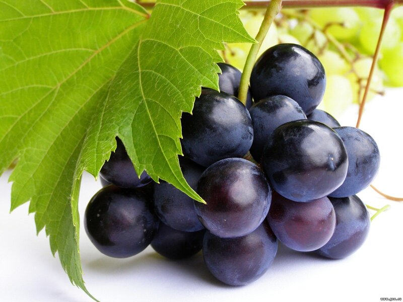 Cluster of Dark Grapes — Purple