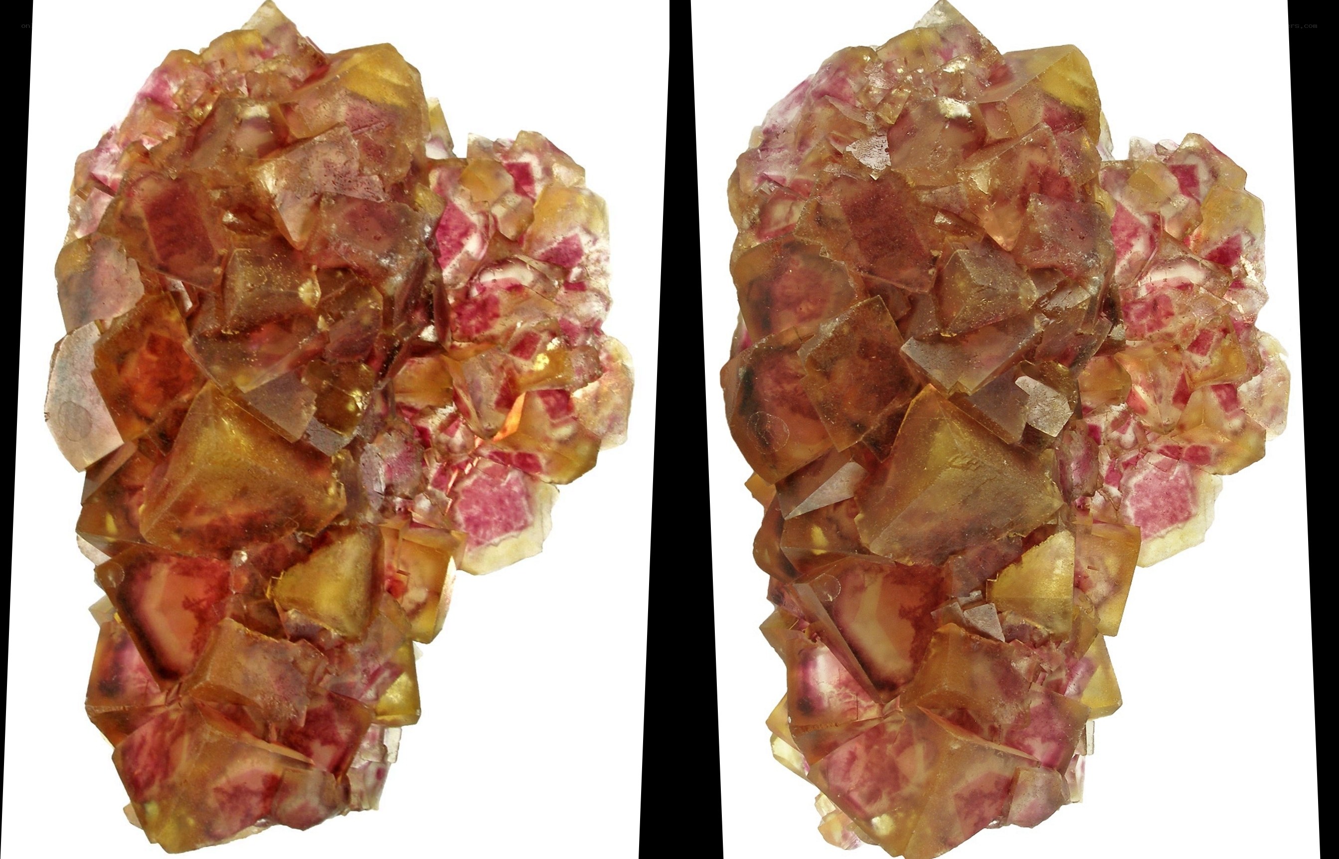 cluster of fluorite crystals