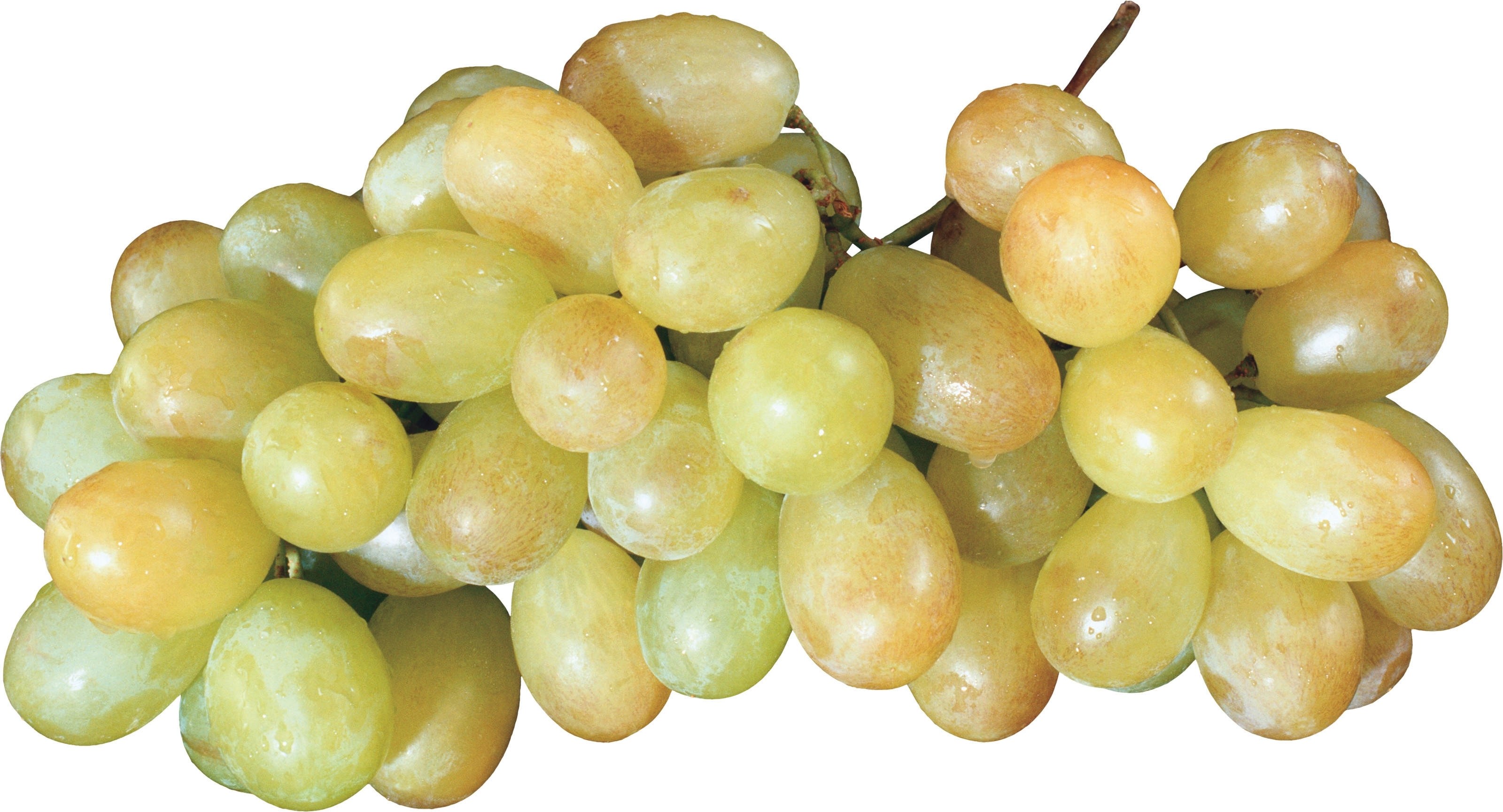 cluster of green grapes