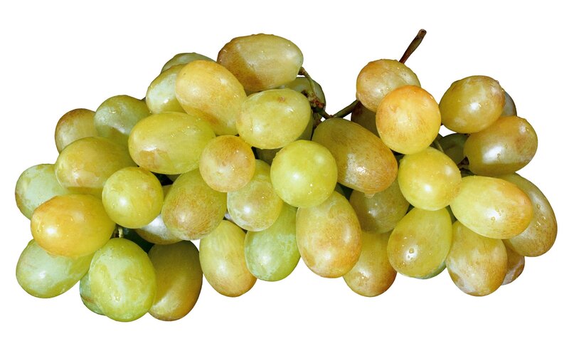 cluster of green grapes
