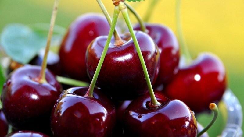 Cluster of Red Cherries — Fresh, Afternoon
