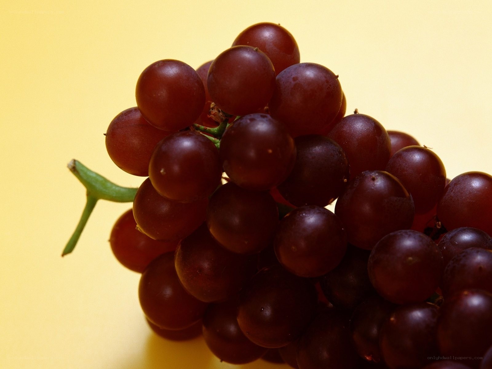cluster of red grapes