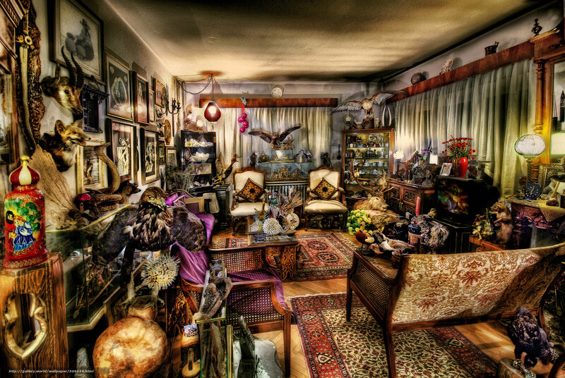 Cluttered collector's living room