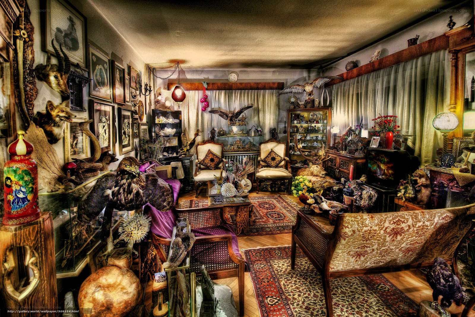 Cluttered collector's living room