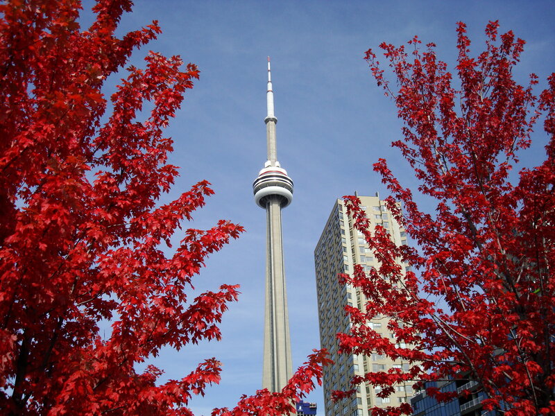 CN Tower with red leaves