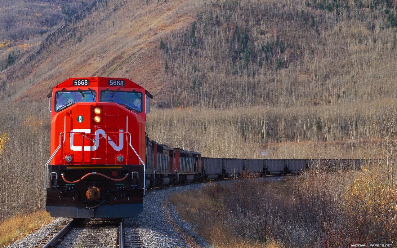 CN train in autumn landscape