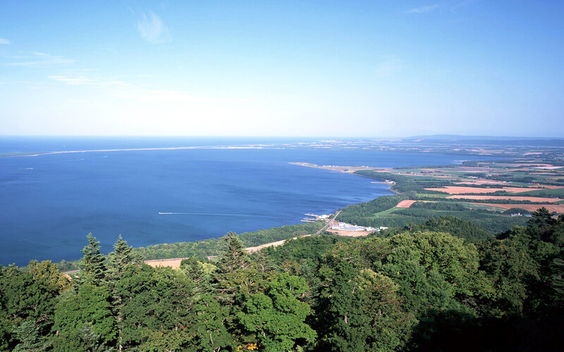 Coastal Bay and Fields