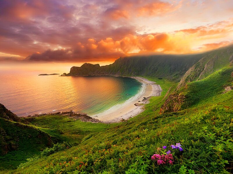 Coastal Bay at Sunset — Green, Dramatic