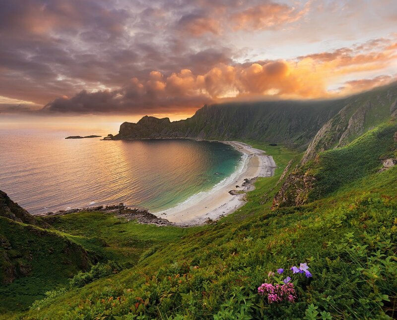 Coastal Bay at Sunset — Green