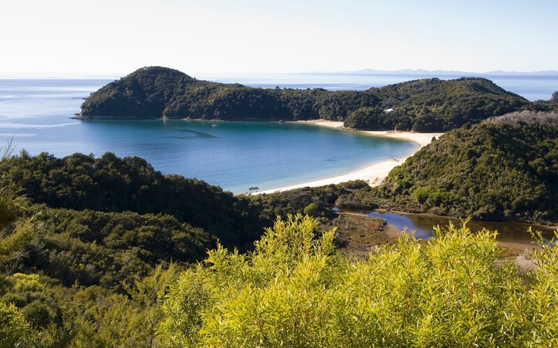 Coastal Bay with Beach — Green, Serene