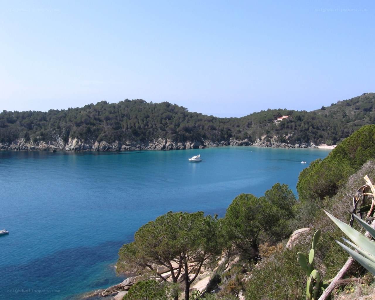 coastal bay with boats