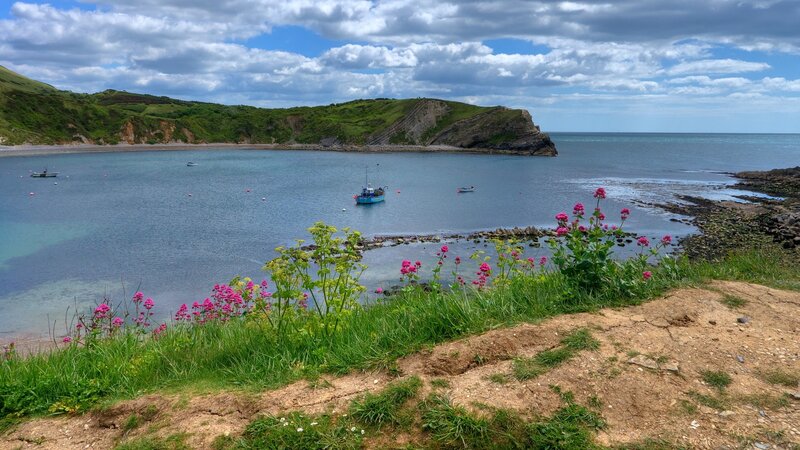 coastal bay with boats and flowers