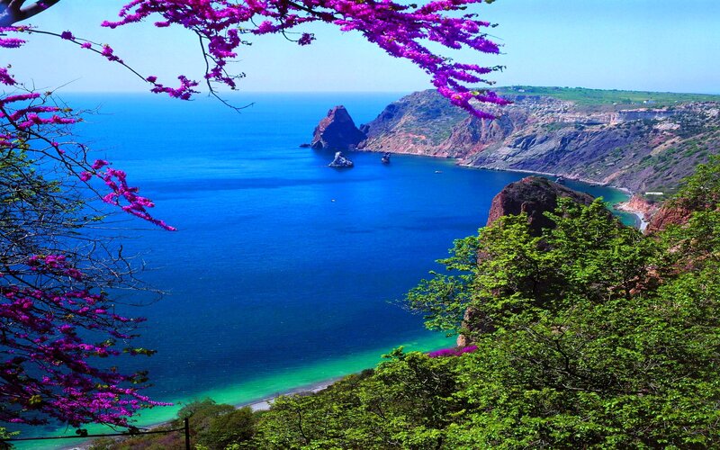 Coastal Bay with Cliffs — Blue, Serene, Afternoon, Photograph, Purple Flowers