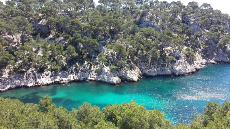 Coastal Bay with Cliffs — Blue, Serene, Afternoon, Photograph, Trees, Sea
