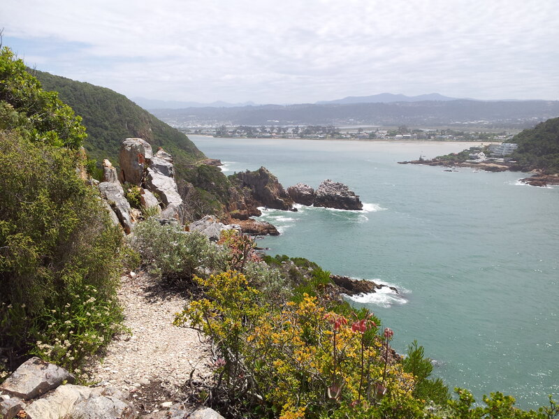 Coastal Bay with Cliffs — Green, Serene, Afternoon