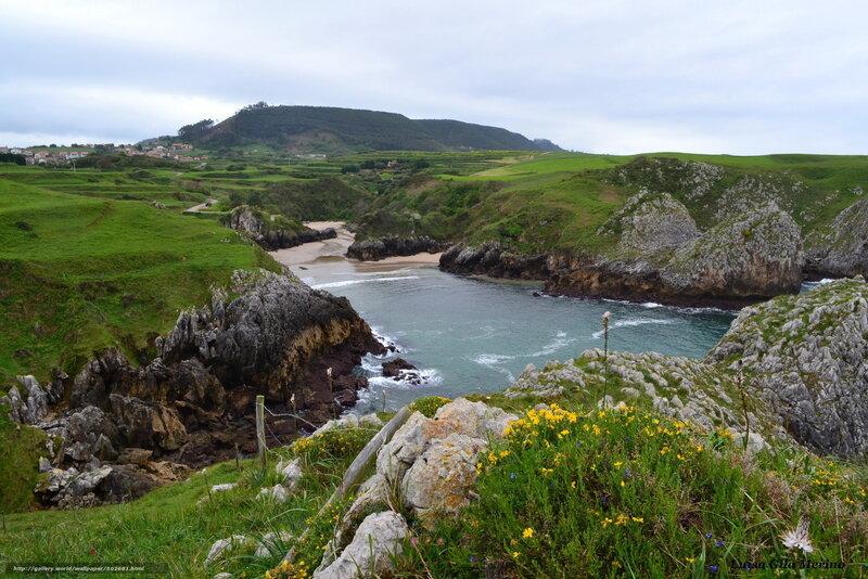 Coastal Bay with Cliffs — Green, Serene, Morning