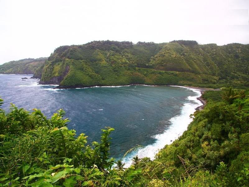 Coastal Bay with Cliffs — Green
