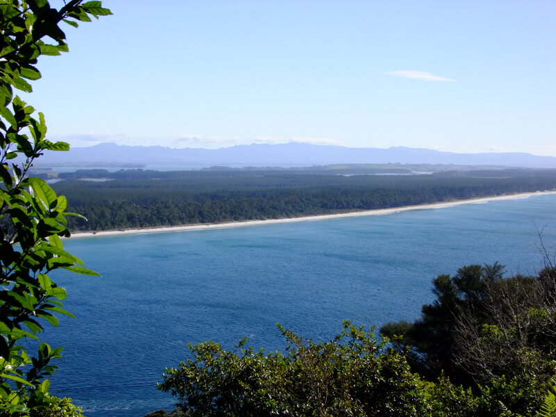Coastal Bay with Forest