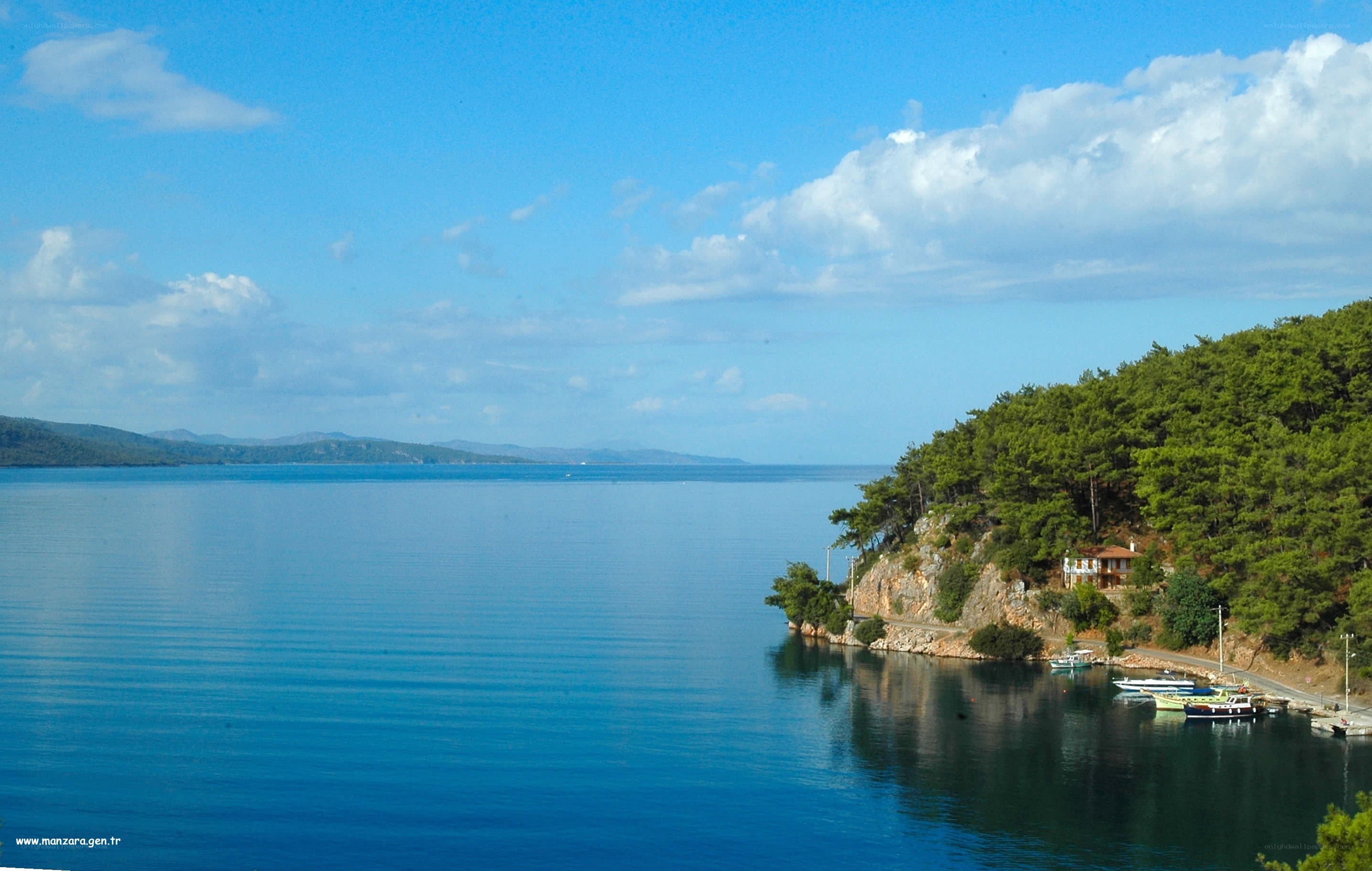Coastal bay with forested hill