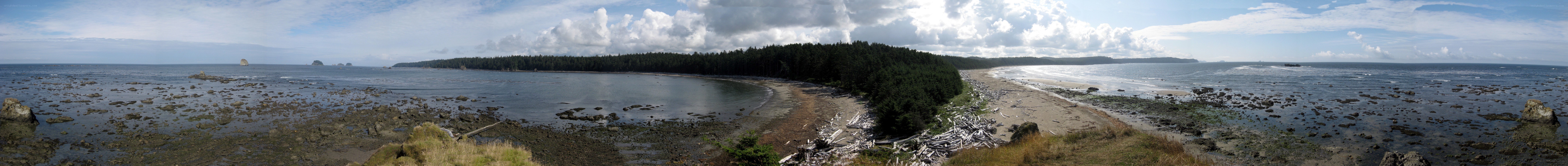 coastal bay with forested peninsula