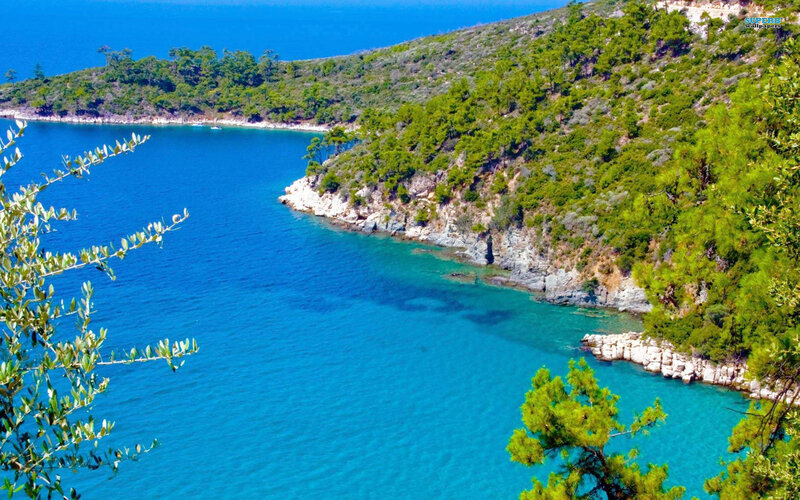 Coastal Bay with Green Hills — Blue, Serene, Afternoon, Photograph