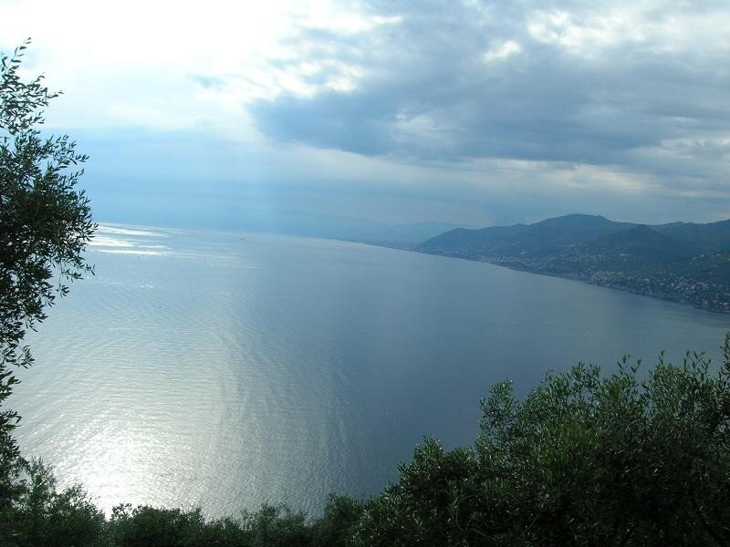 Coastal Bay with Mountains — Blue, Serene, Afternoon, Photograph, Sea, Trees
